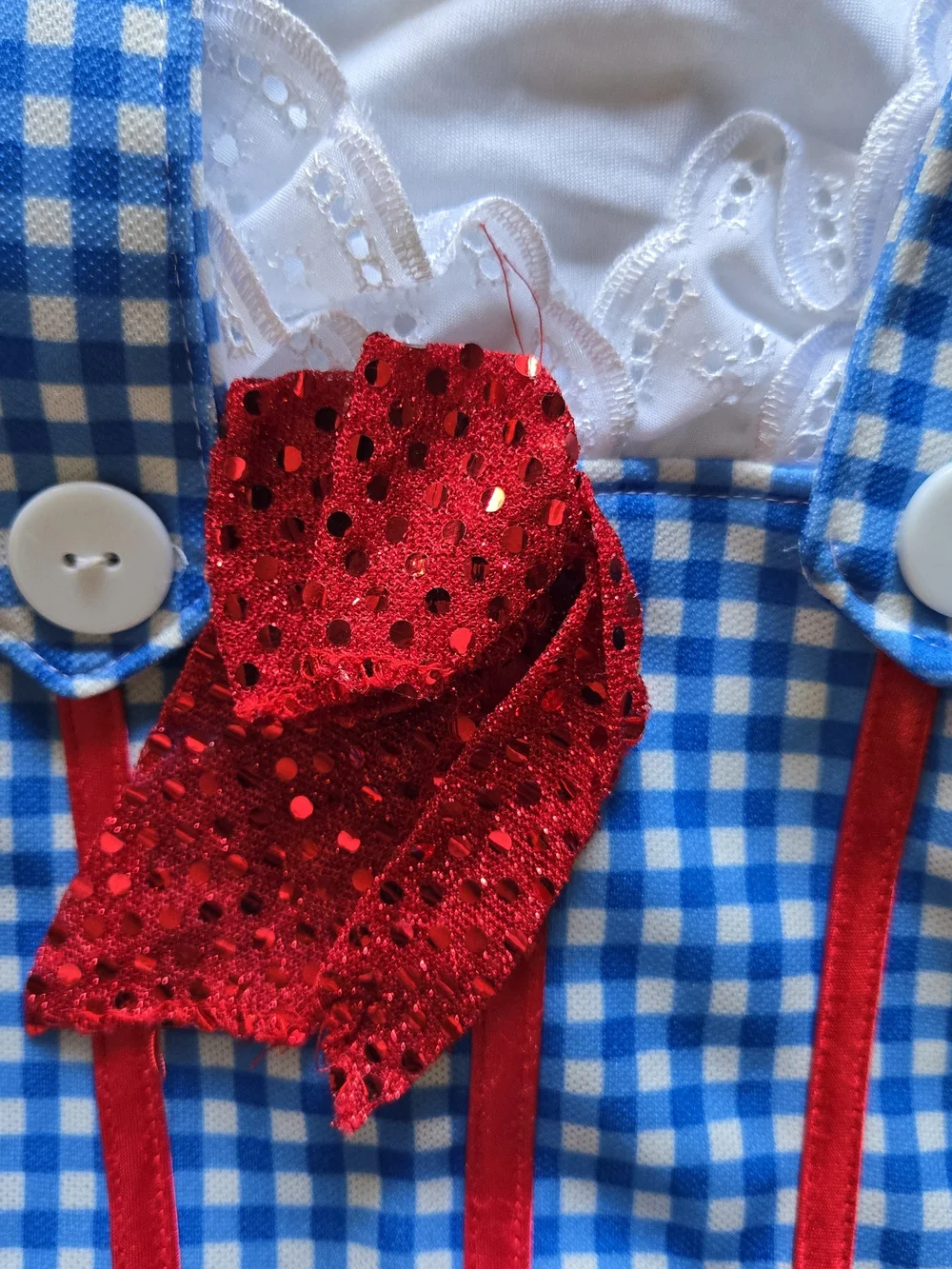 Vintage Girls Dorothy Gingham Kids Costume Dress with Red Accents 4T